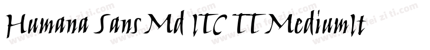Humana Sans Md ITC TT MediumIta字体转换
